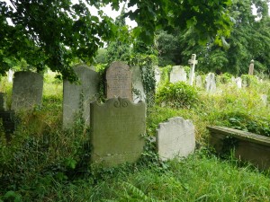 IMGP8554